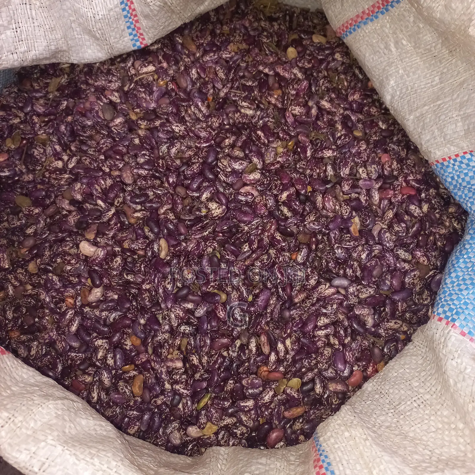 Beans for Sale