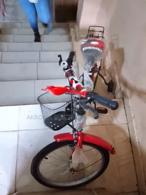 Endesha Bicycle Size 20