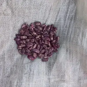 Beans for Sale