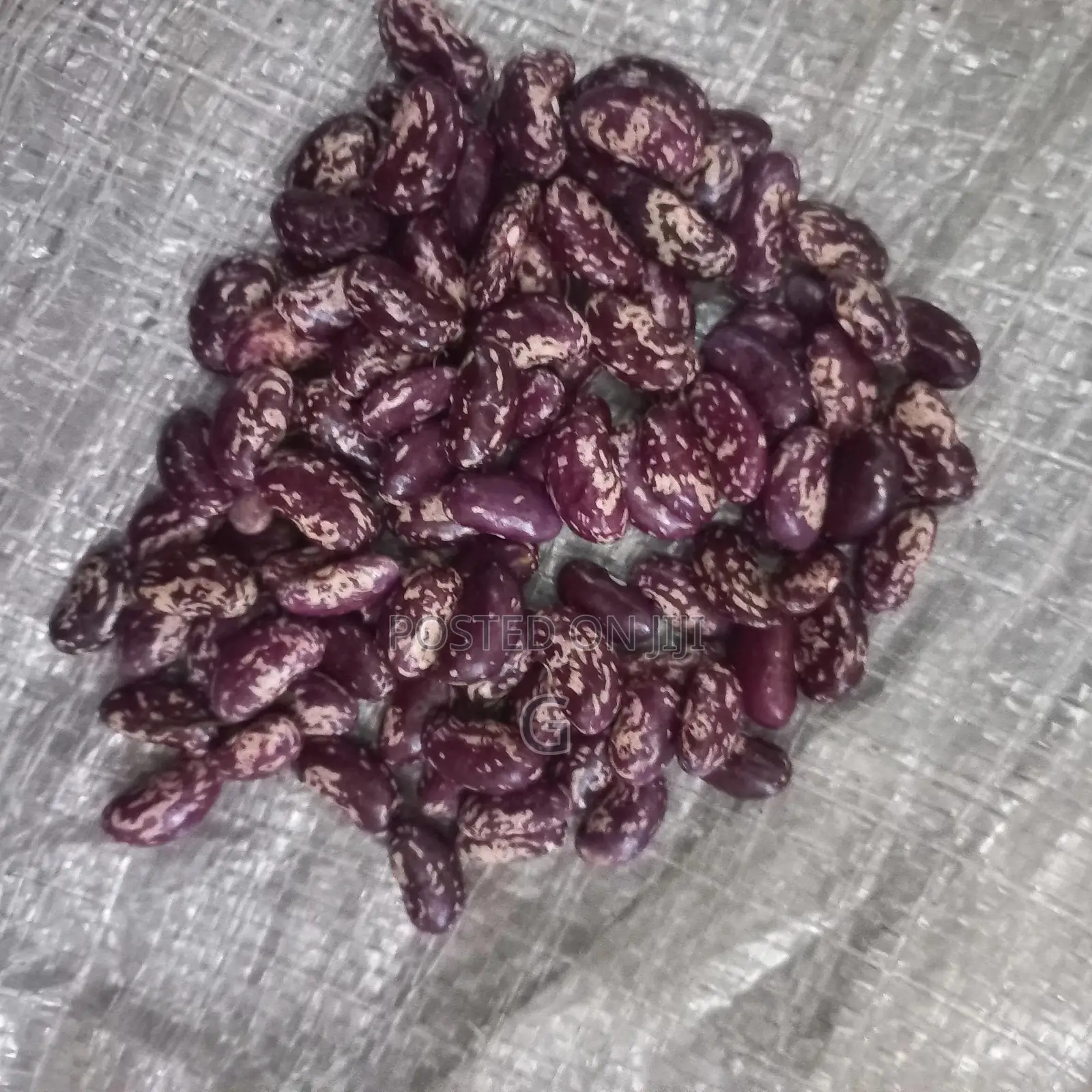 Beans for Sale
