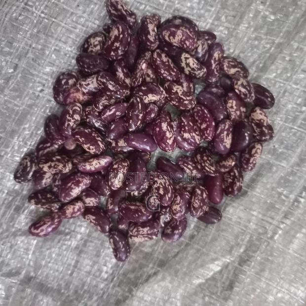 Beans for Sale - thumbnail 2