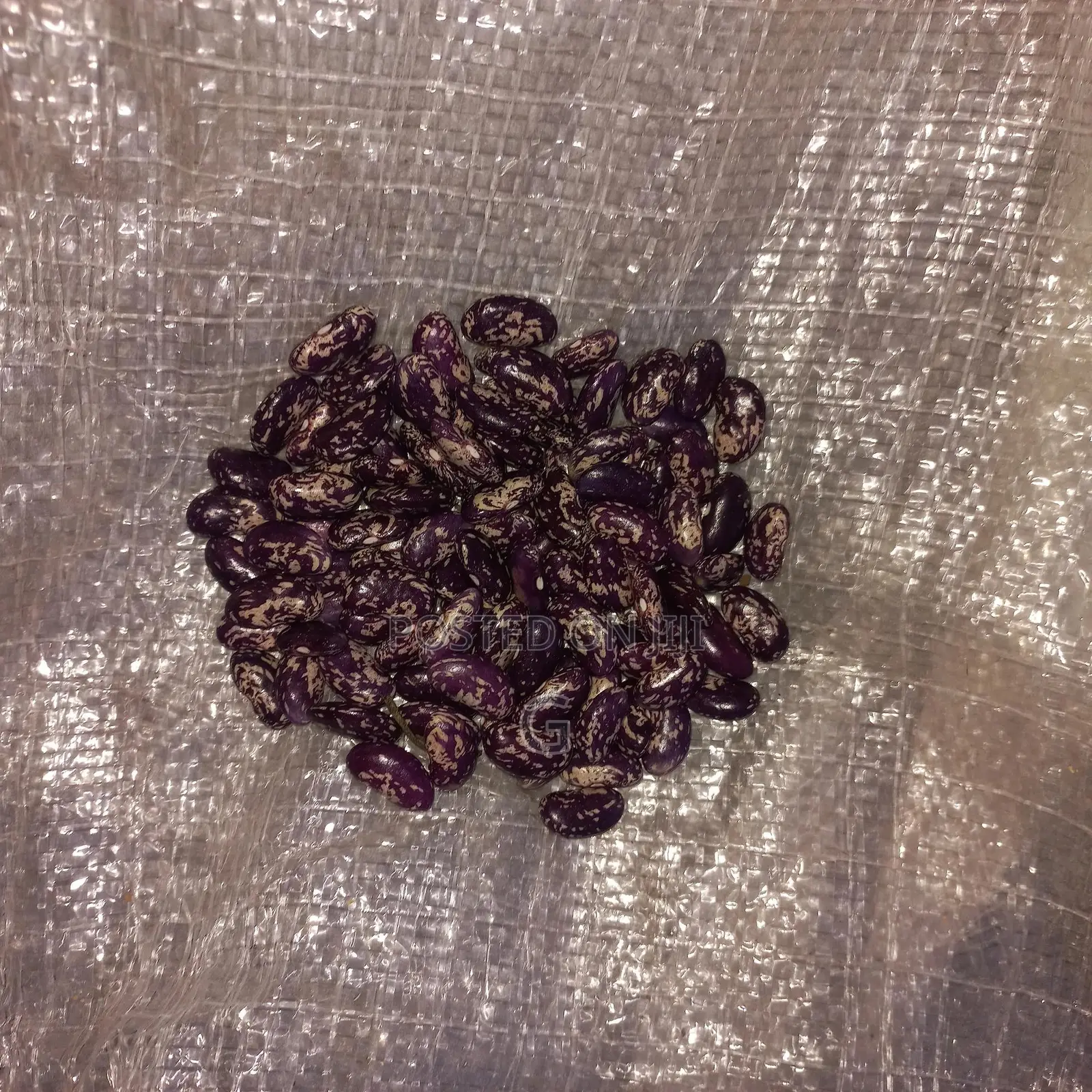 Beans for Sale