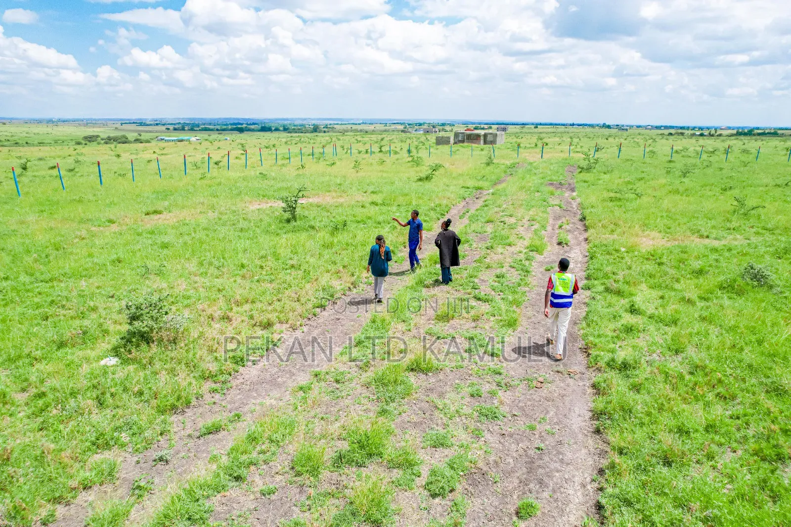 Family Land 50 by 100 Plots in Malaa