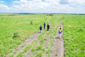 Family Land 50 by 100 Plots in Malaa
