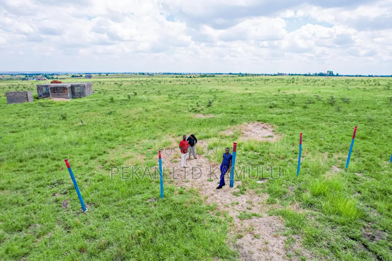 Family Land 50 by 100 Plots in Malaa