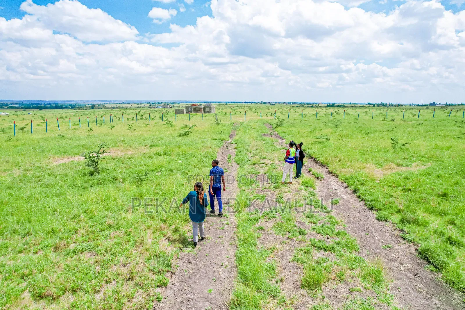Family Land 50 by 100 Plots in Malaa