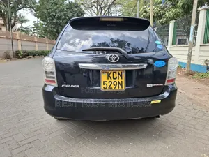 Toyota Corolla Fielder 2010 Black
