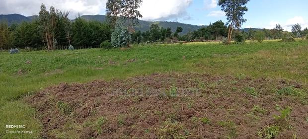 Kipipiri Aberdare, 2 Acres Flat Land for Quick Sale - thumbnail 2