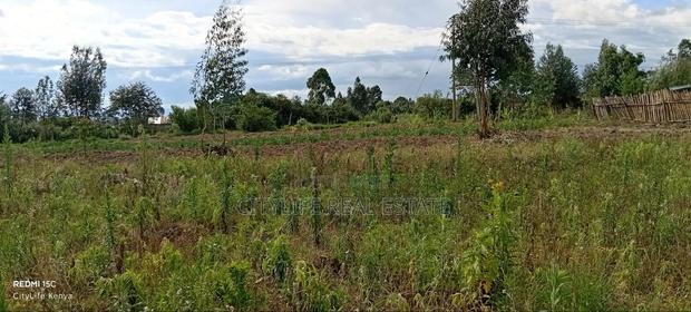 Kipipiri Aberdare, 2 Acres Flat Land for Quick Sale - thumbnail 4