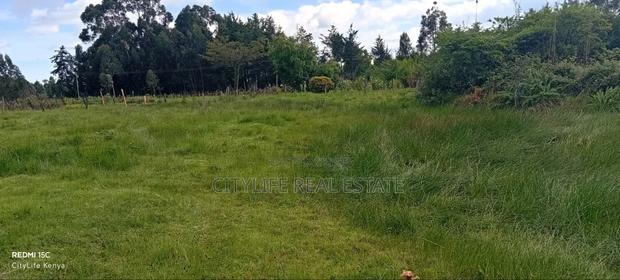 Kipipiri Aberdare, 2 Acres Flat Land for Quick Sale - thumbnail 5
