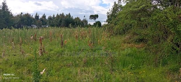 Kipipiri Aberdare, 2 Acres Flat Land for Quick Sale - thumbnail 6