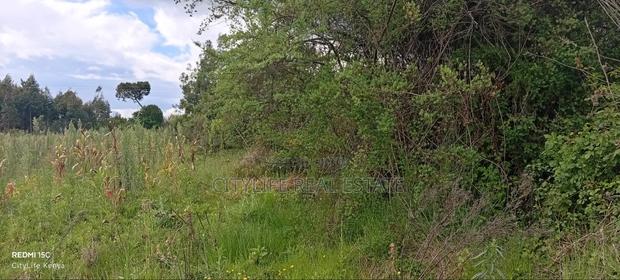 Kipipiri Aberdare, 2 Acres Flat Land for Quick Sale - thumbnail 7