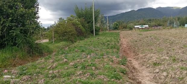 Kipipiri Aberdare, 2 Acres Flat Land for Quick Sale - thumbnail 9