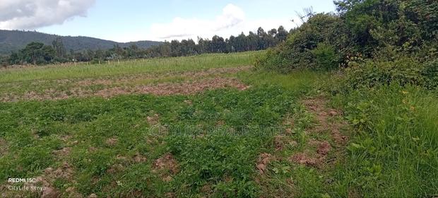 Kipipiri Aberdare, 2 Acres Flat Land for Quick Sale - thumbnail 10