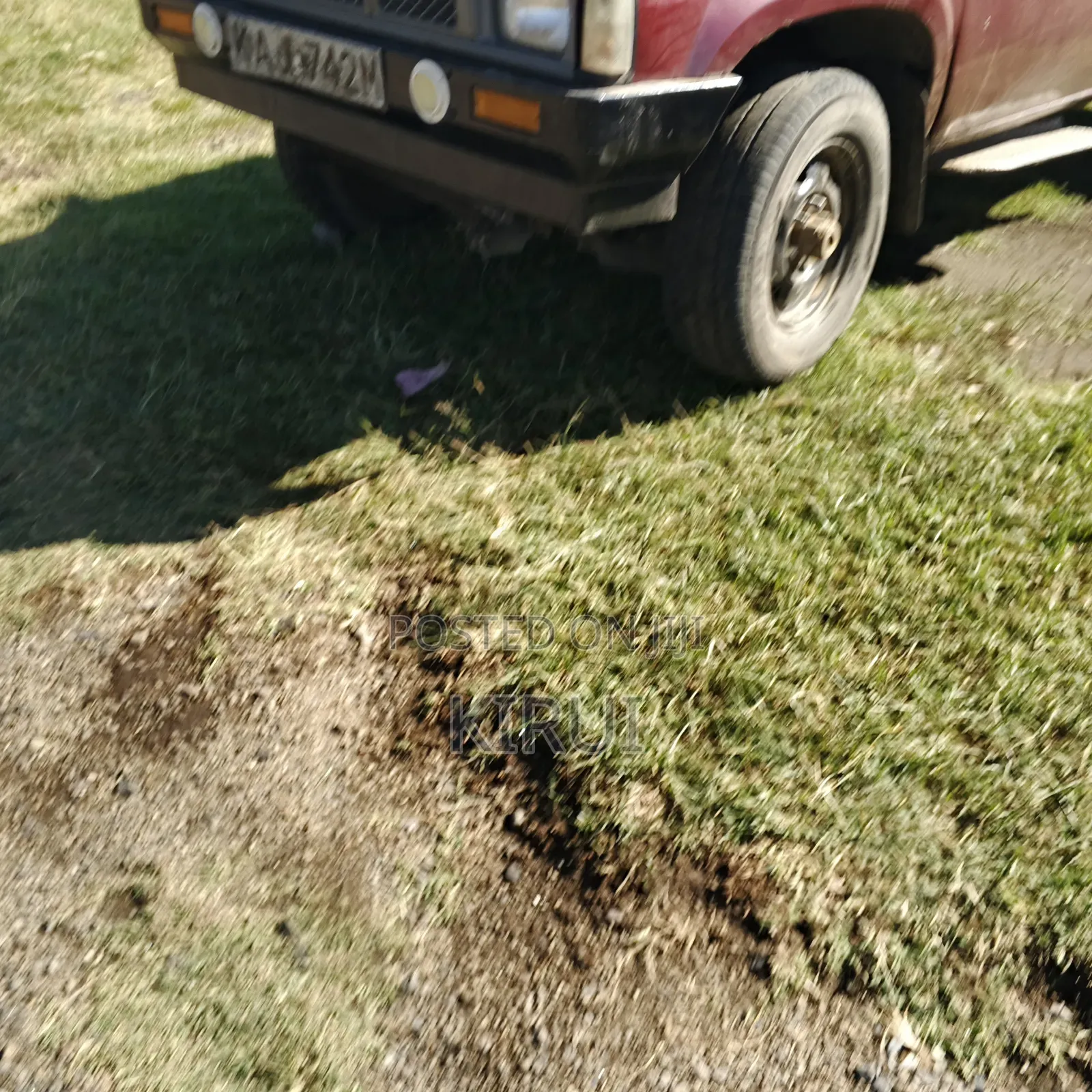 Nissan Pick-Up 2000 Maroon