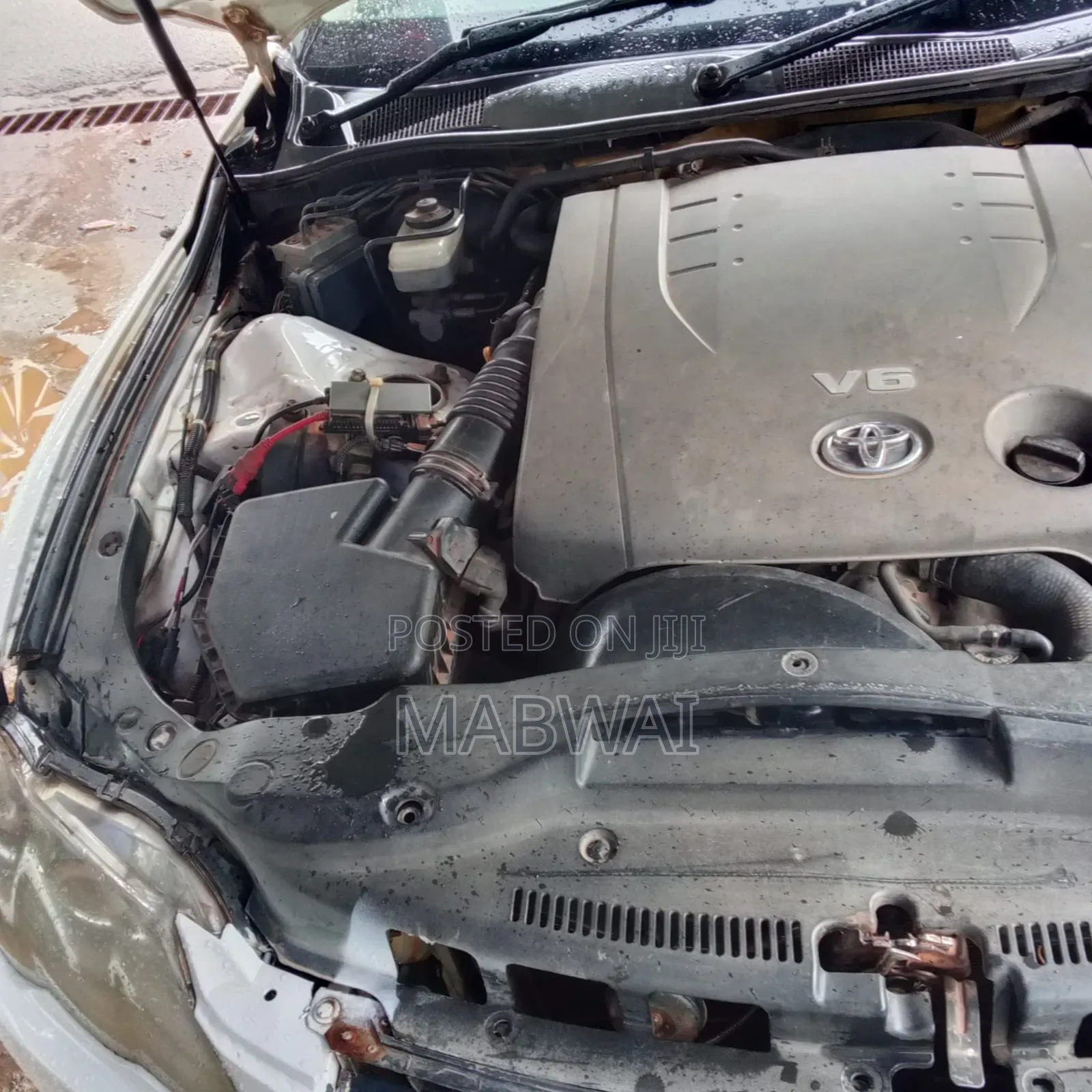 Toyota Mark X 2006 White