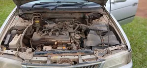 Nissan Sunny 2000 Silver