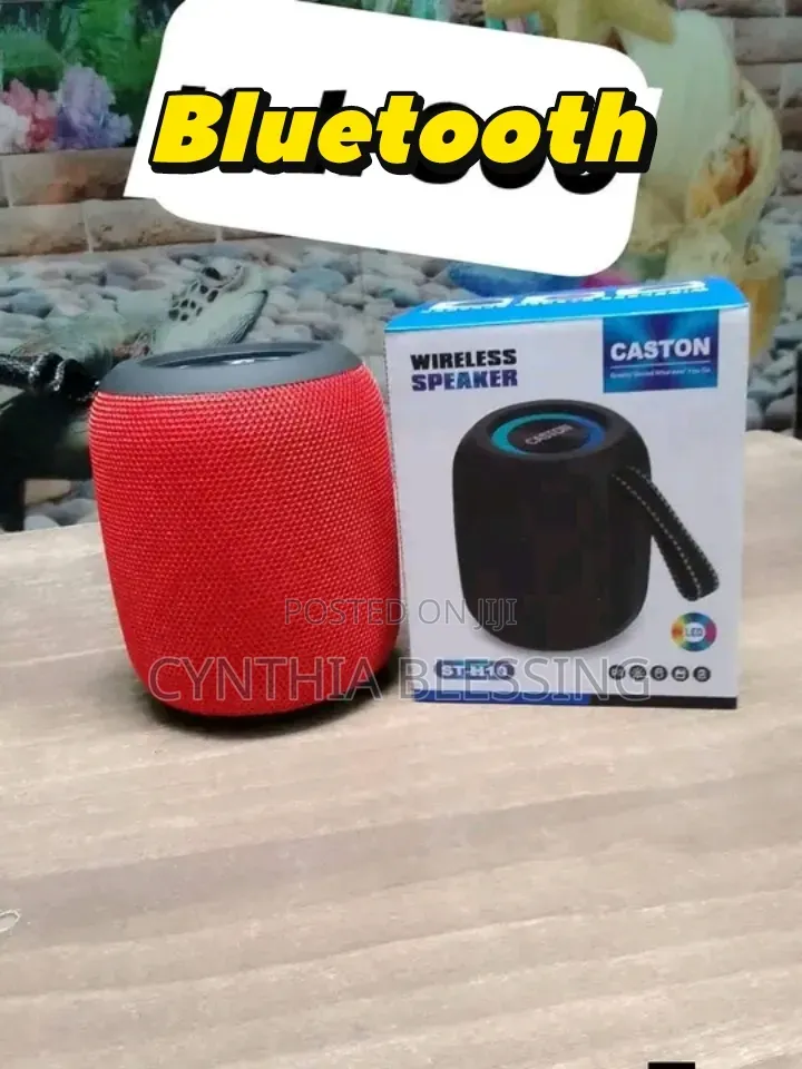 Caston Bluetooth Portable Speaker