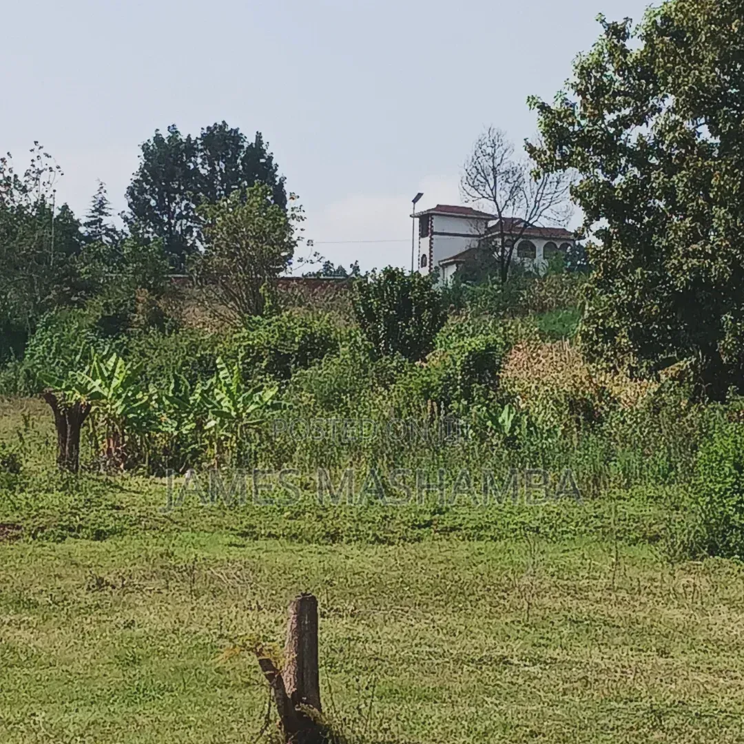 Land and Plot