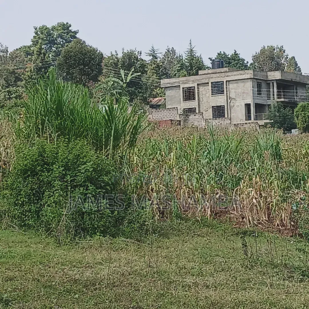 Land and Plot