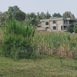 Land and Plot
