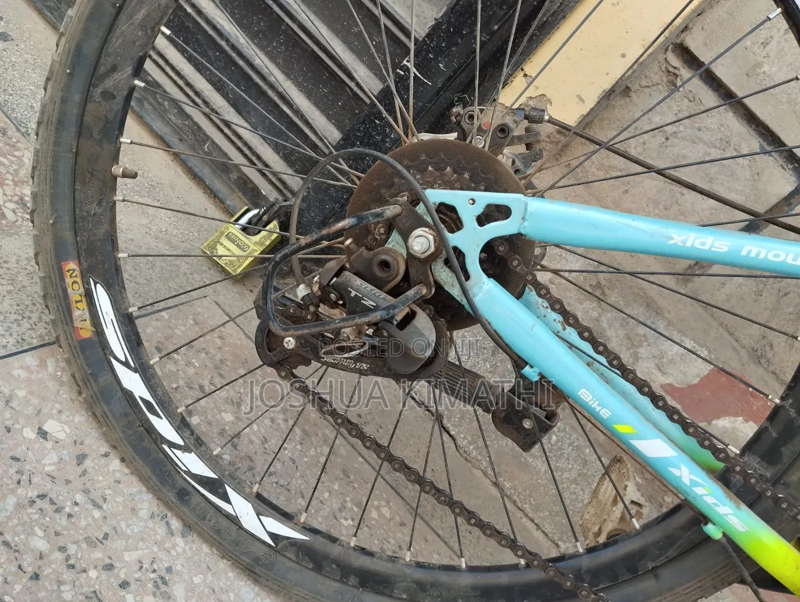 Mountain Bike