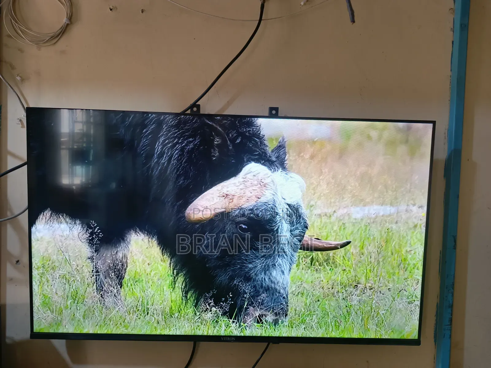 Vitron 43" Qled TV