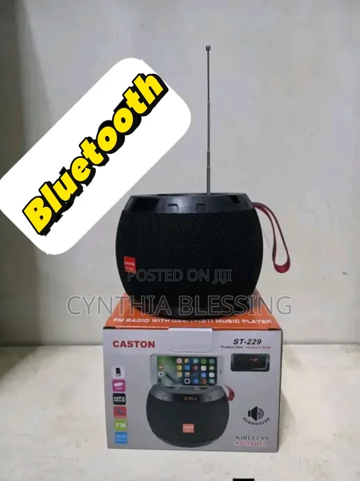 Portable Bluetooth Speaker_ST 229