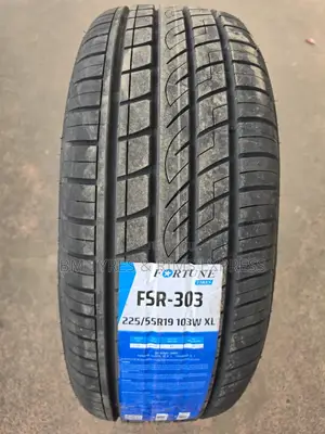 225 /55 R19 Fortune