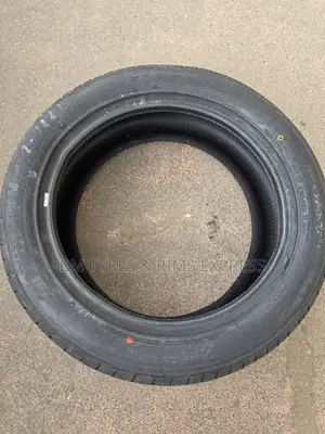 225 /55 R19 Fortune