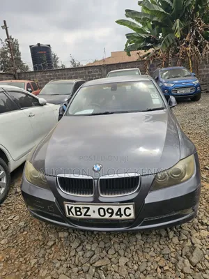 BMW 320i 2007 Gray