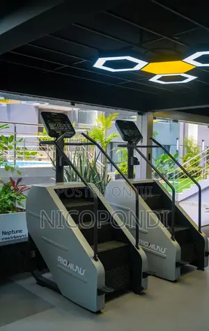Furnished 1bdrm Apartment in Lavington for rent
