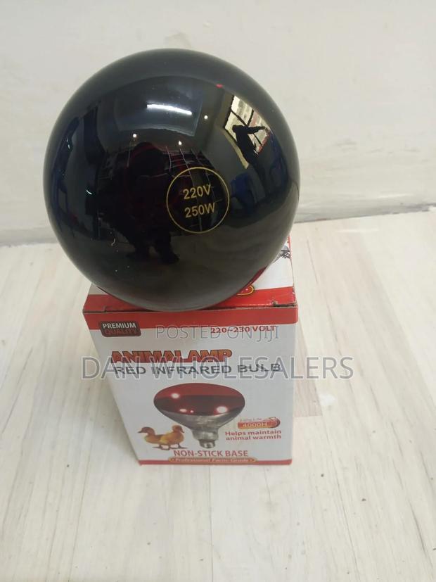 Chicken Bulb Professional Grade for Poultry Brooding - main view