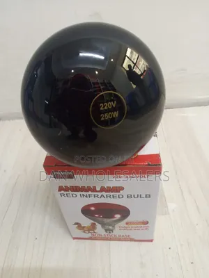 Chicken Bulb Long Life 4000H Red Infrared Heat Lamp