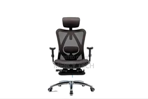 Orthopedic Ergonomic Office Chair