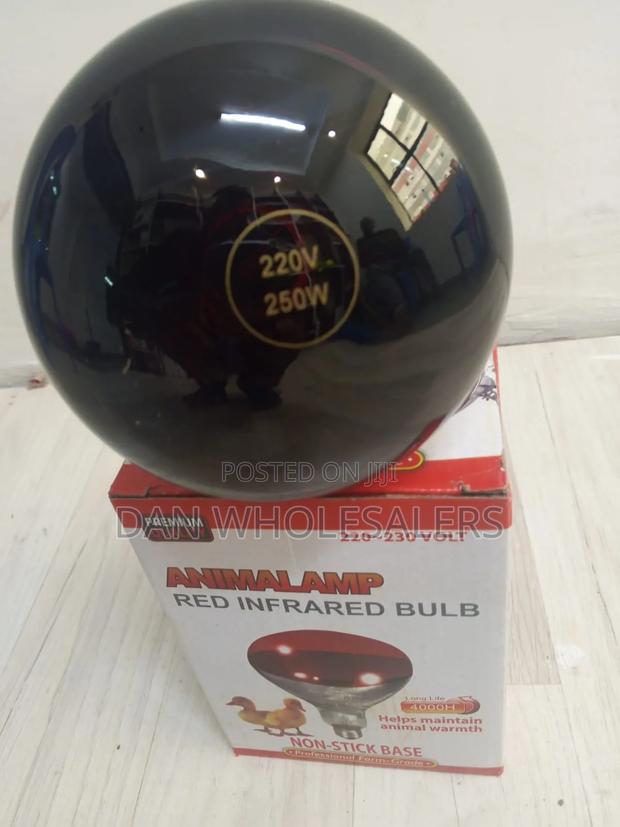 Chicken Bulb Red Light for Stress Free Chick Growth - main view