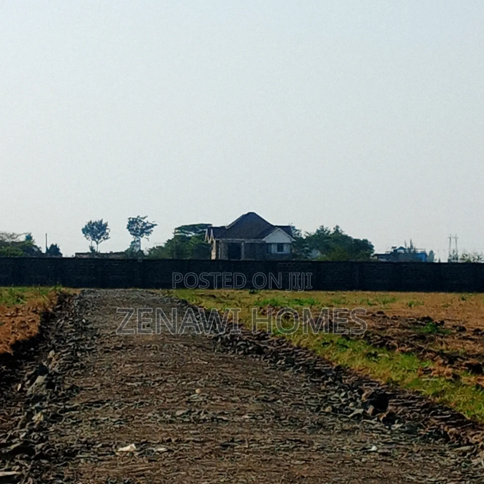 Royal Groove Plots by Pm