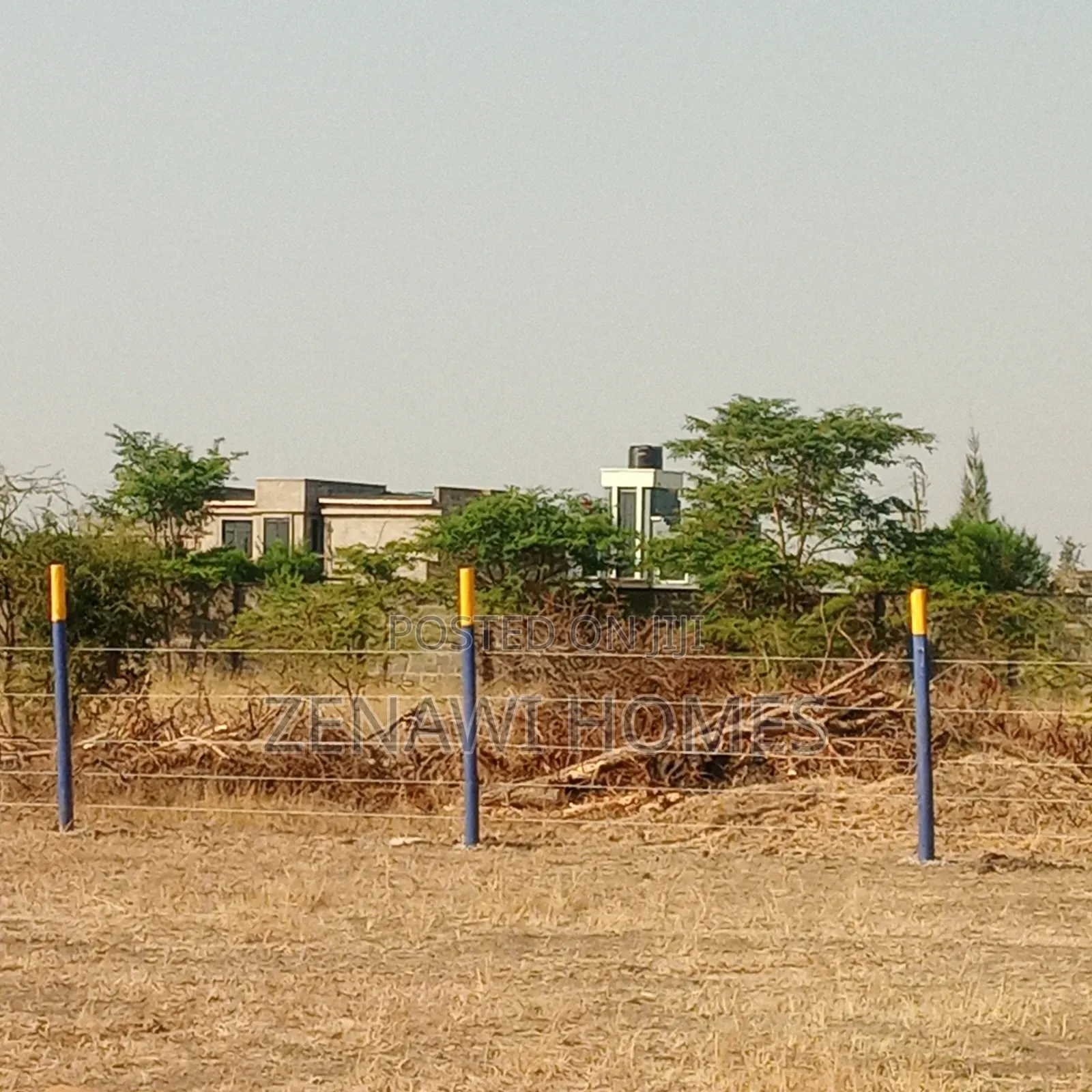Royal Groove Plots by Pm