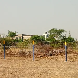 Royal Groove Plots by Pm