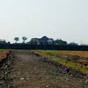 Royal Groove Plots by Pm