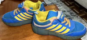 Skater Shoes