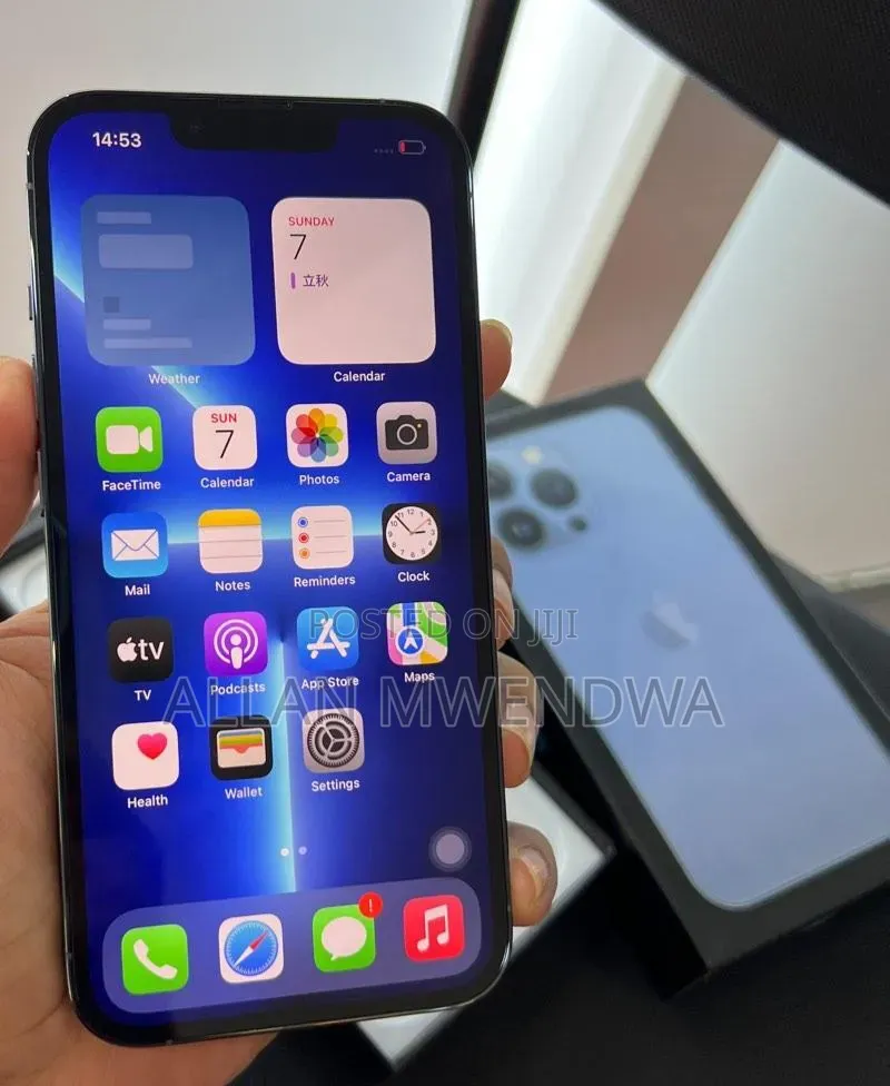 Apple iPhone 13 Pro Max 512 GB Blue