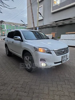 Toyota Vanguard 2010 Pearl