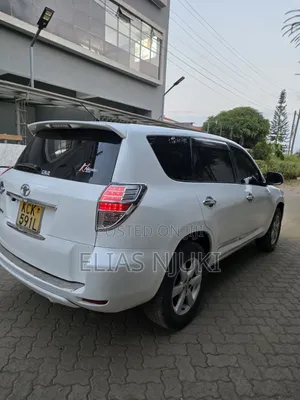Toyota Vanguard 2010 Pearl