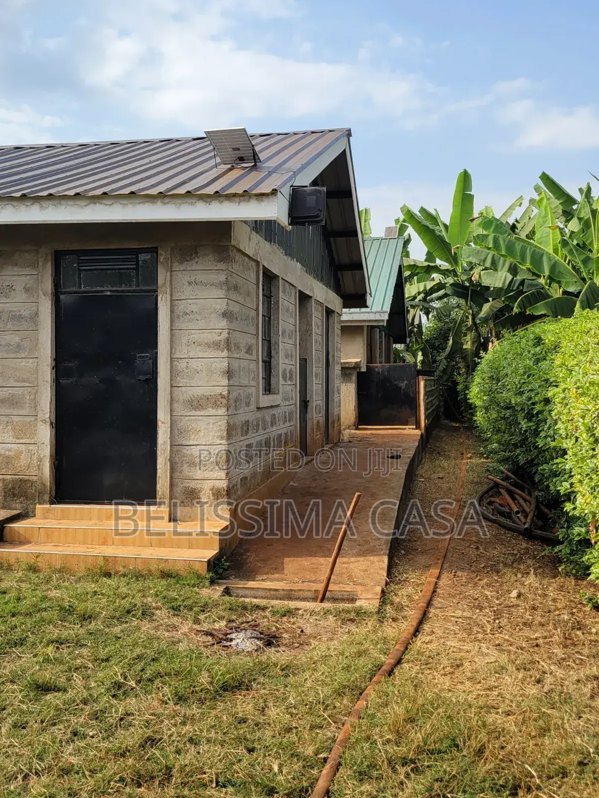 Income-Generating Hass Avocado Commercial Farm for Sale