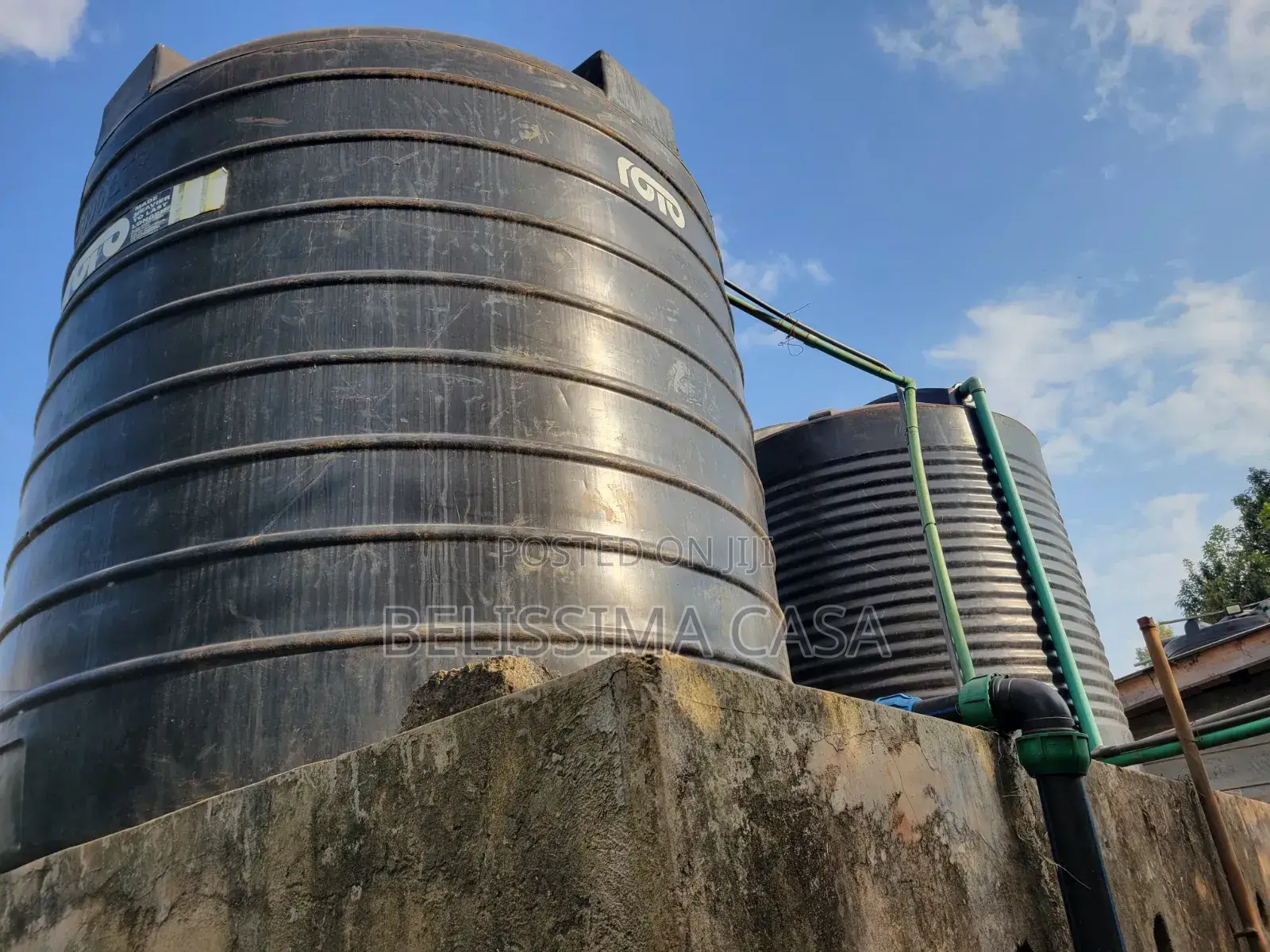 Income-Generating Hass Avocado Commercial Farm for Sale