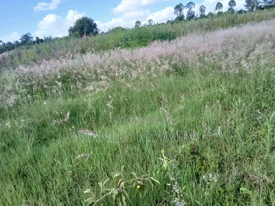 2 Acreas Nanyuki Daiga