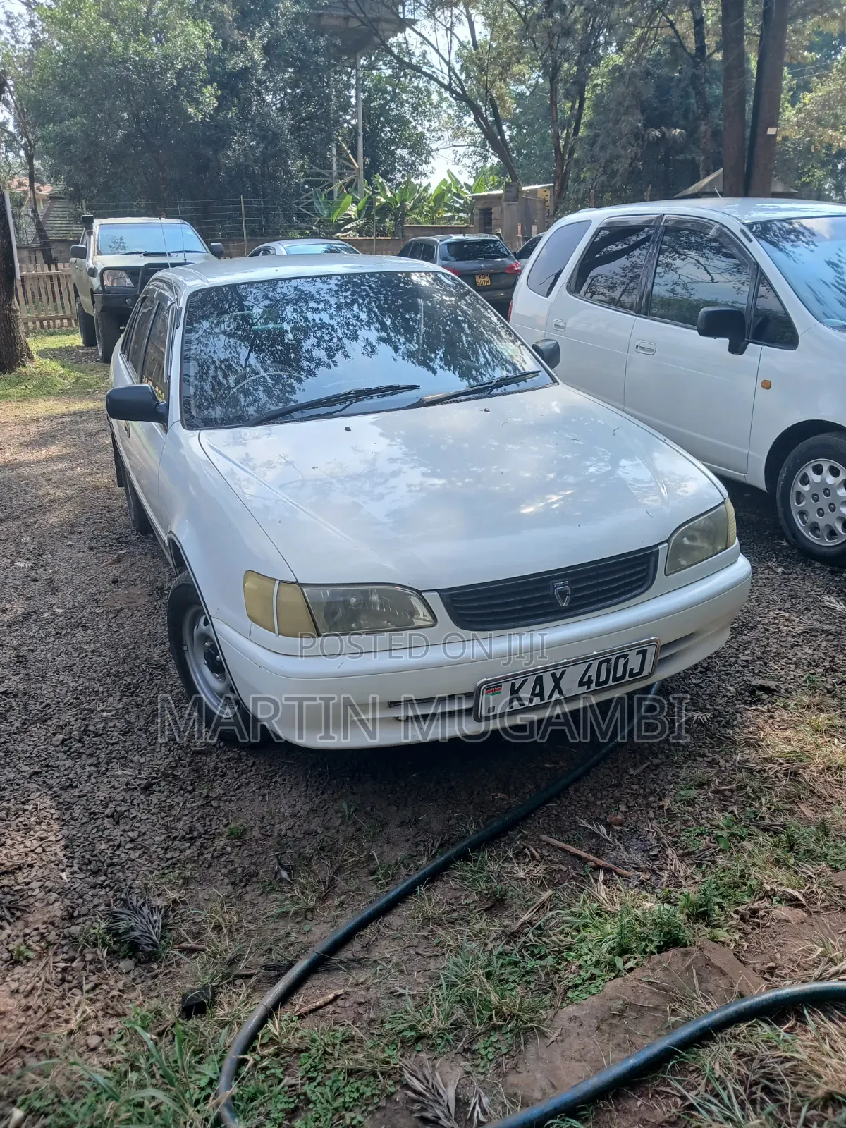 Toyota Corolla 1998 White