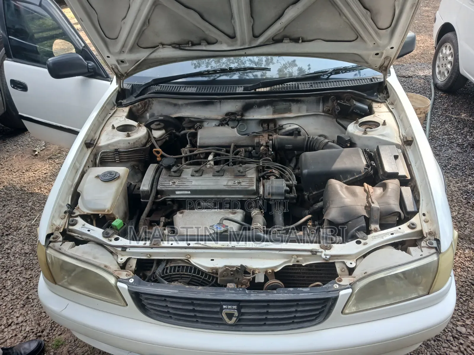 Toyota Corolla 1998 White