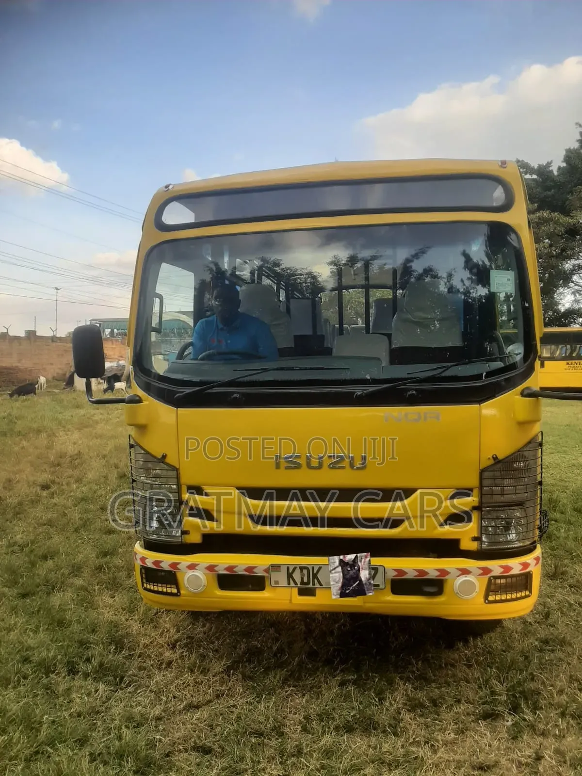 Isuzu NQR 2022 Yellow